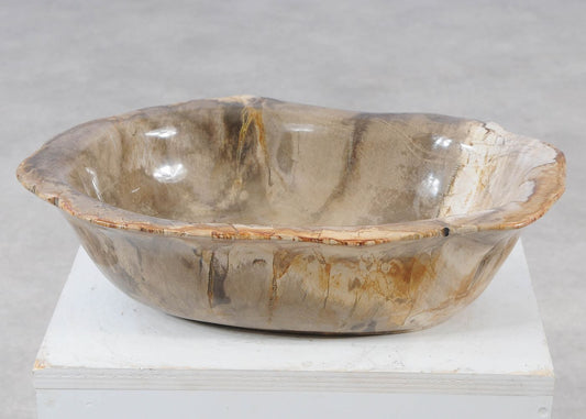 Ciotola in legno pietrificato - 57003