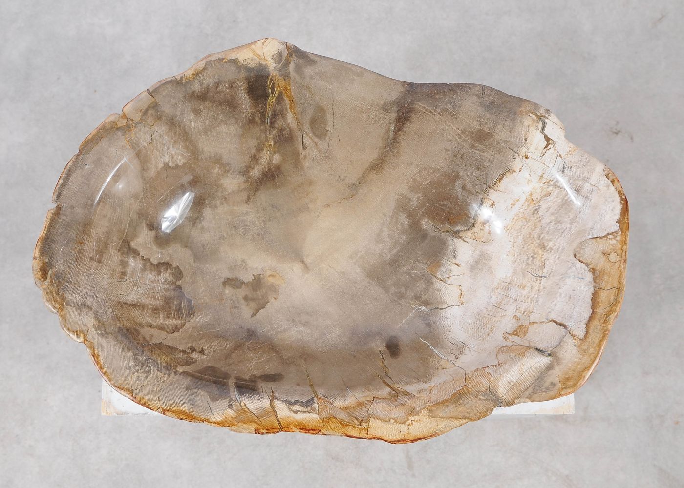 Ciotola in legno pietrificato - 57003