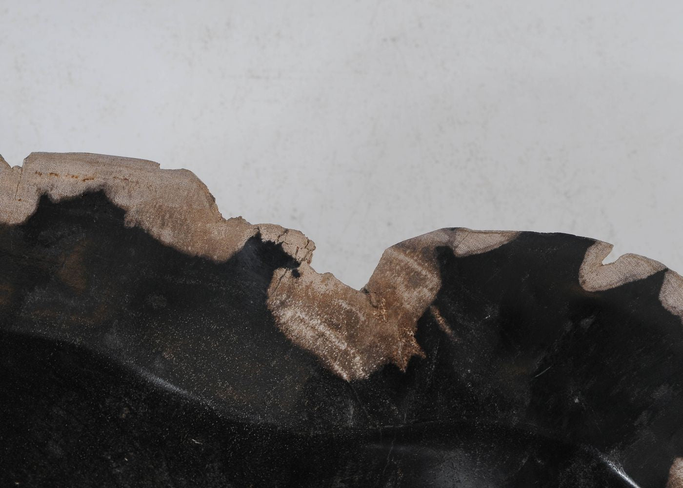 Ciotola in legno pietrificato - 51336