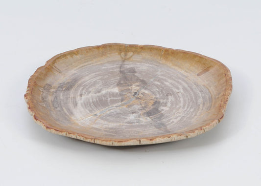 Piatto in legno fossile - 51072