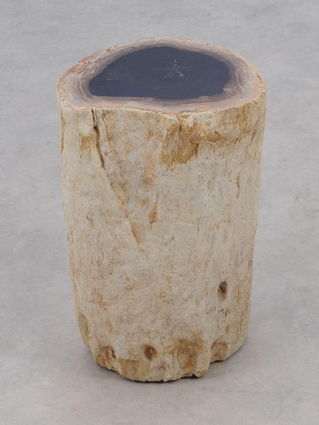 Tavolino tronco pietrificato bianco - 51037 - Esotika