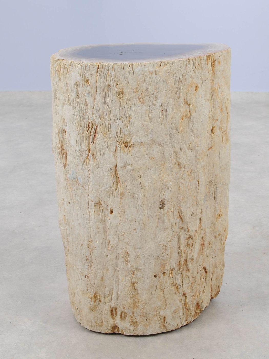 Tavolino tronco pietrificato bianco - 51037 - Esotika