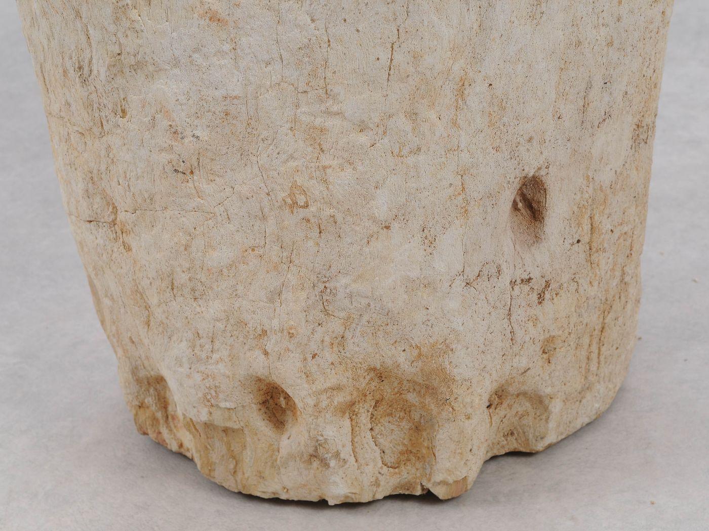 Tavolino tronco pietrificato bianco - 51037 - Esotika