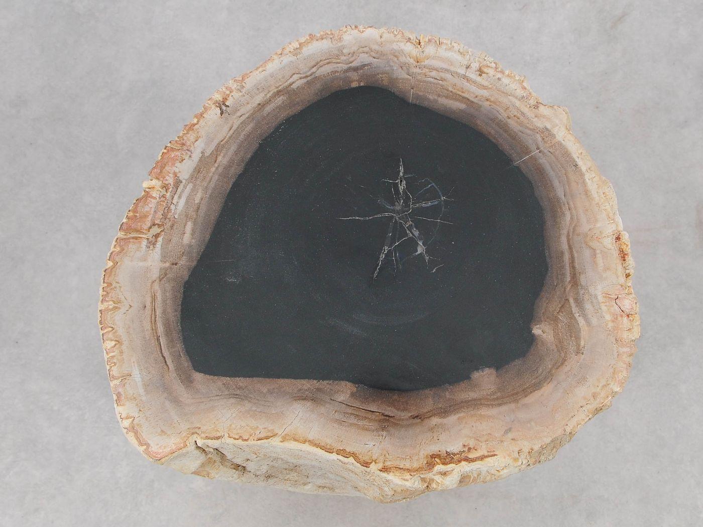 Tavolino tronco pietrificato bianco - 51037 - Esotika