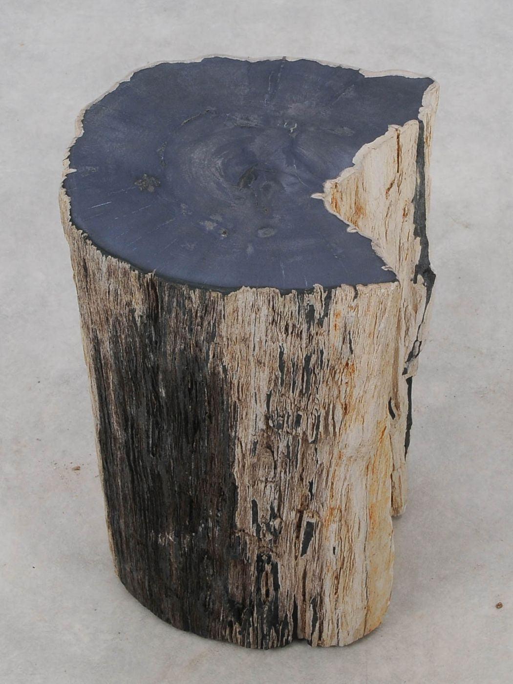 Tavolino tronco pietrificato nero - 51324 - Esotika