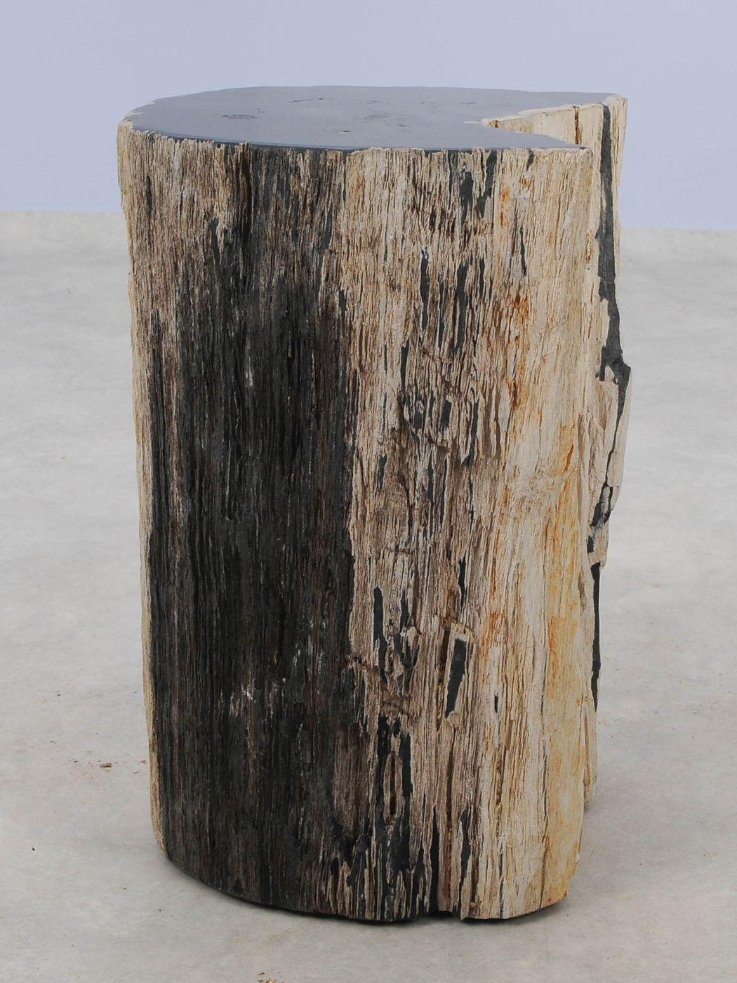 Tavolino tronco pietrificato nero - 51324 - Esotika