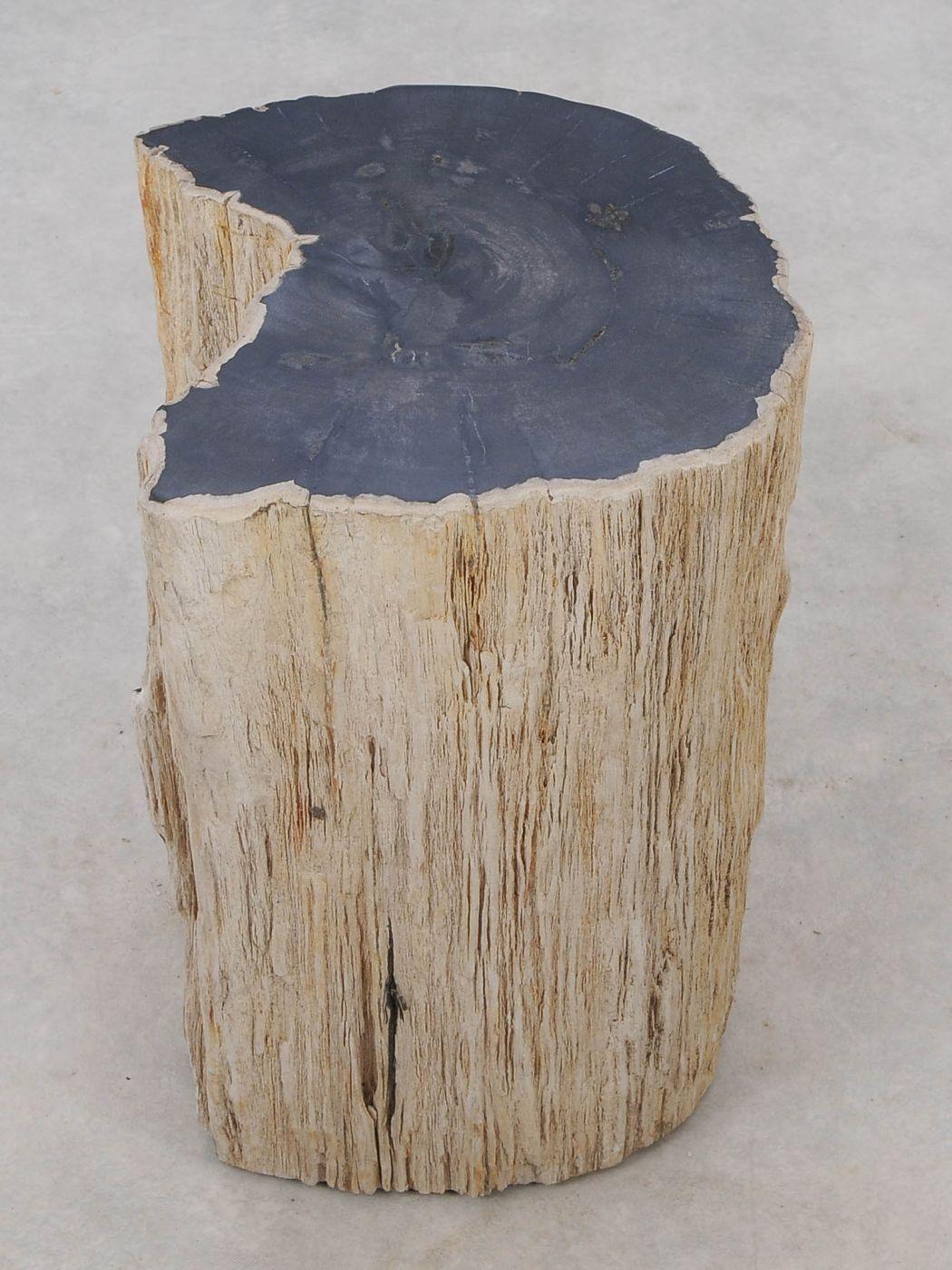 Tavolino tronco pietrificato nero - 51324 - Esotika