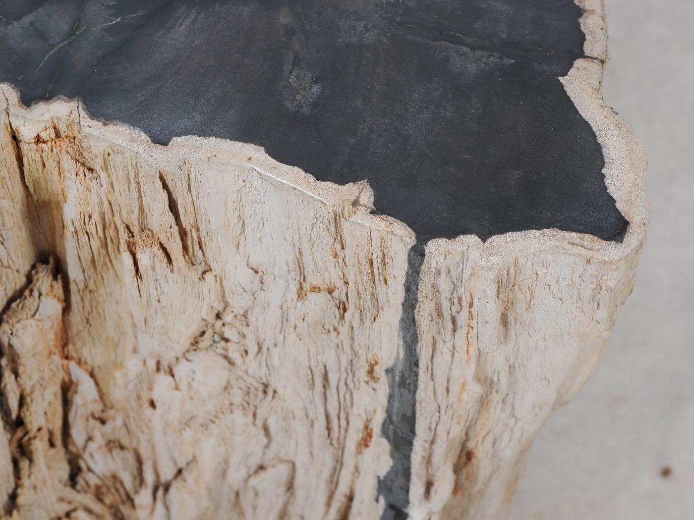 Tavolino tronco pietrificato nero - 51324 - Esotika