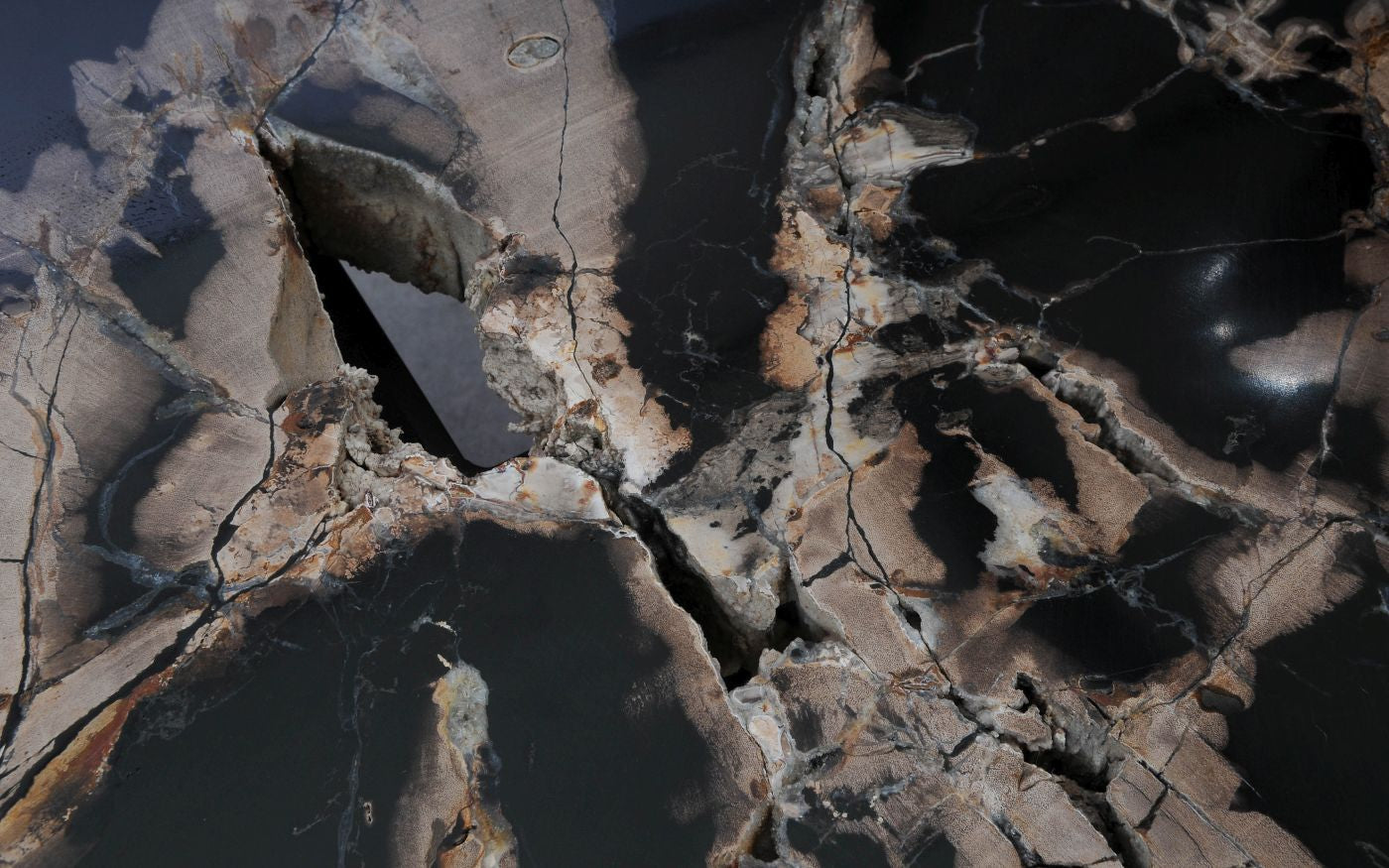 Lastra per tavolino in legno fossile - 53280