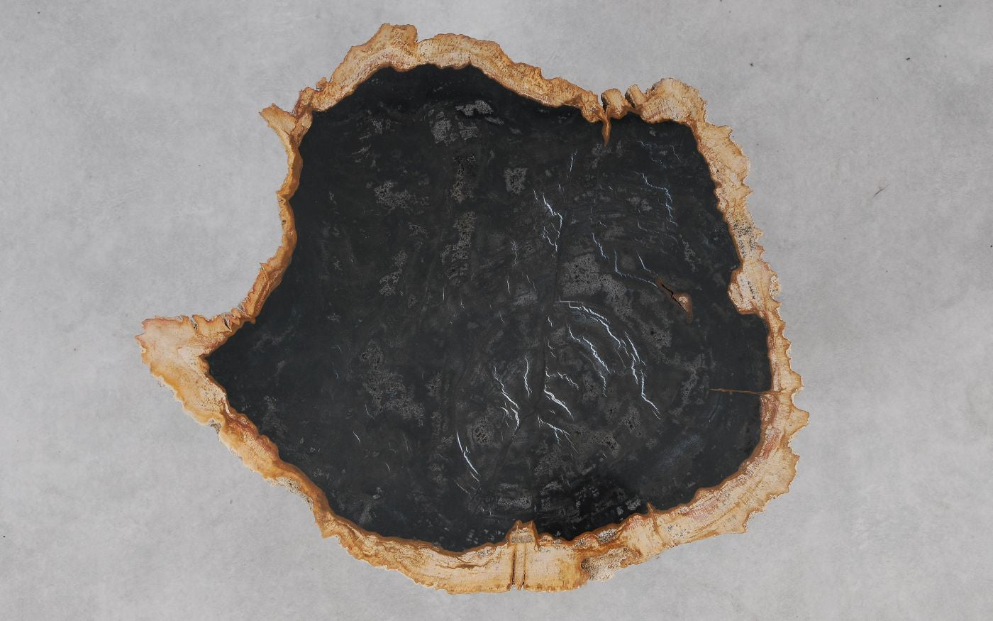 Lastra per tavolino in legno fossile - 55151