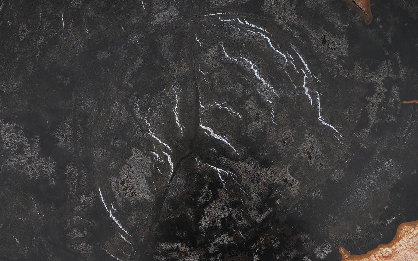 Lastra per tavolino in legno fossile - 55151