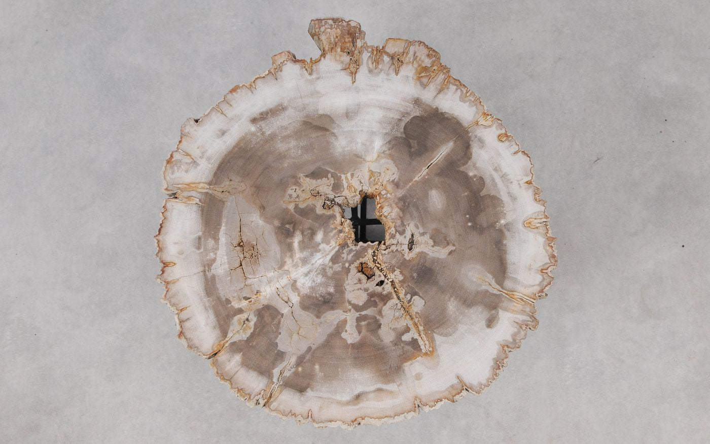 Lastra per tavolino in legno fossile - 55166