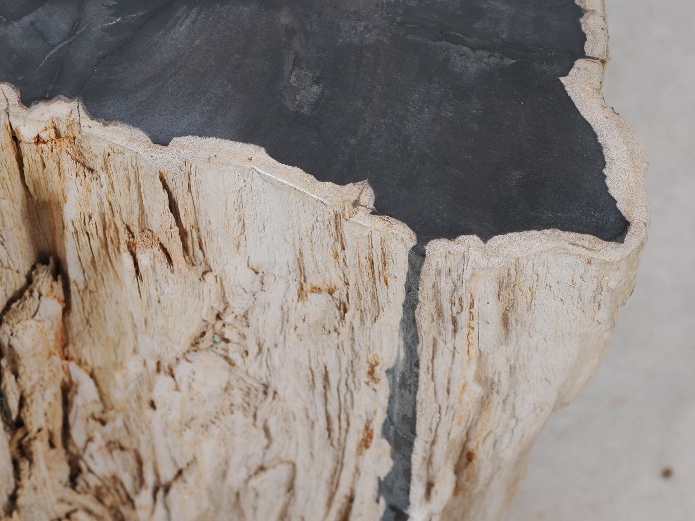 Tavolino tronco pietrificato nero - 51324