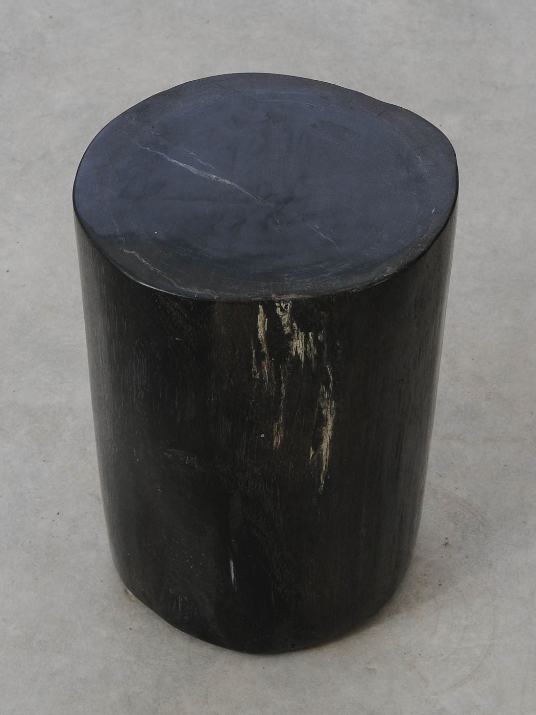 Tavolino tronco in legno pietrificato - 53001