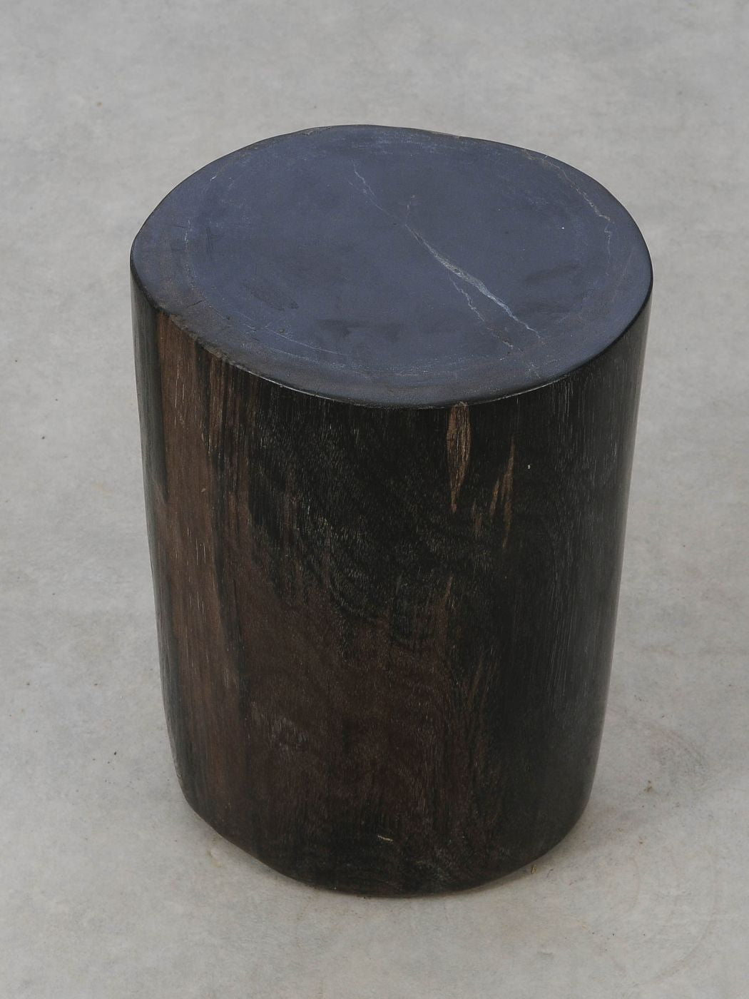 Tavolino tronco in legno pietrificato - 53001