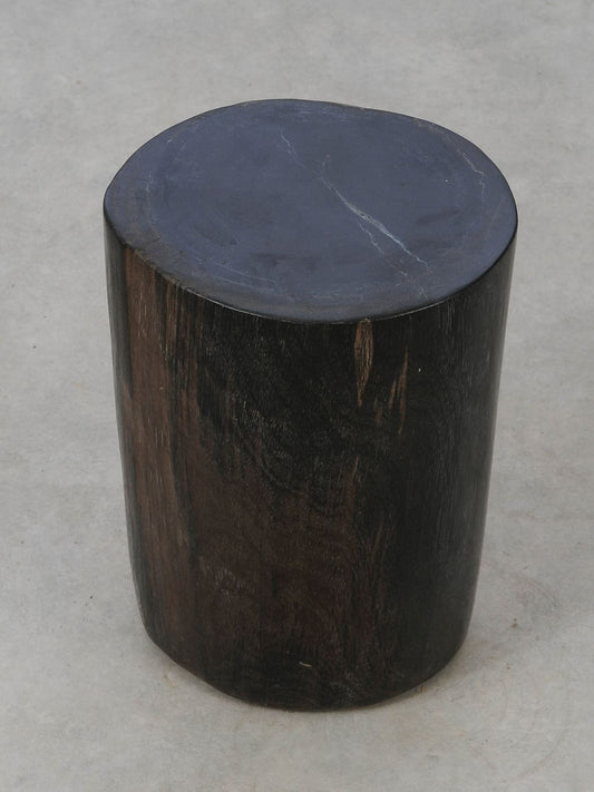 Tavolino tronco in legno pietrificato - 53001