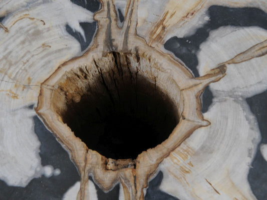 Eleganza Naturale: Lavabo Spa in Legno Fossile per Arredo Bagno di Design