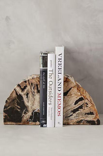 Ferma libri in legno pietrificato - Esotika