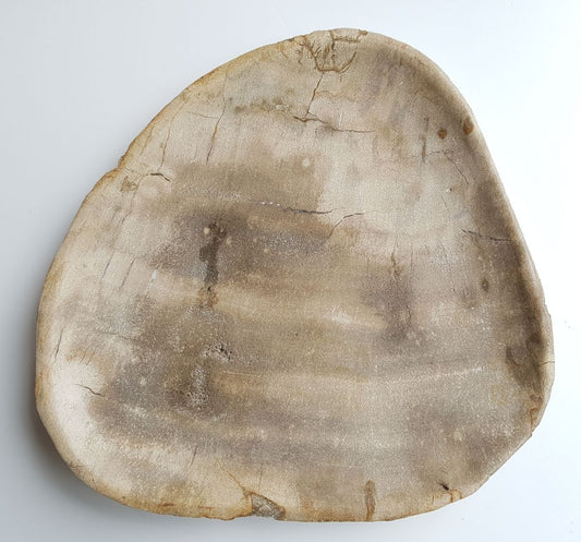 Piatto in legno fossile - 33004g
