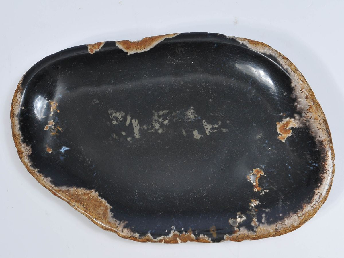 Piatto in legno fossile - 37023