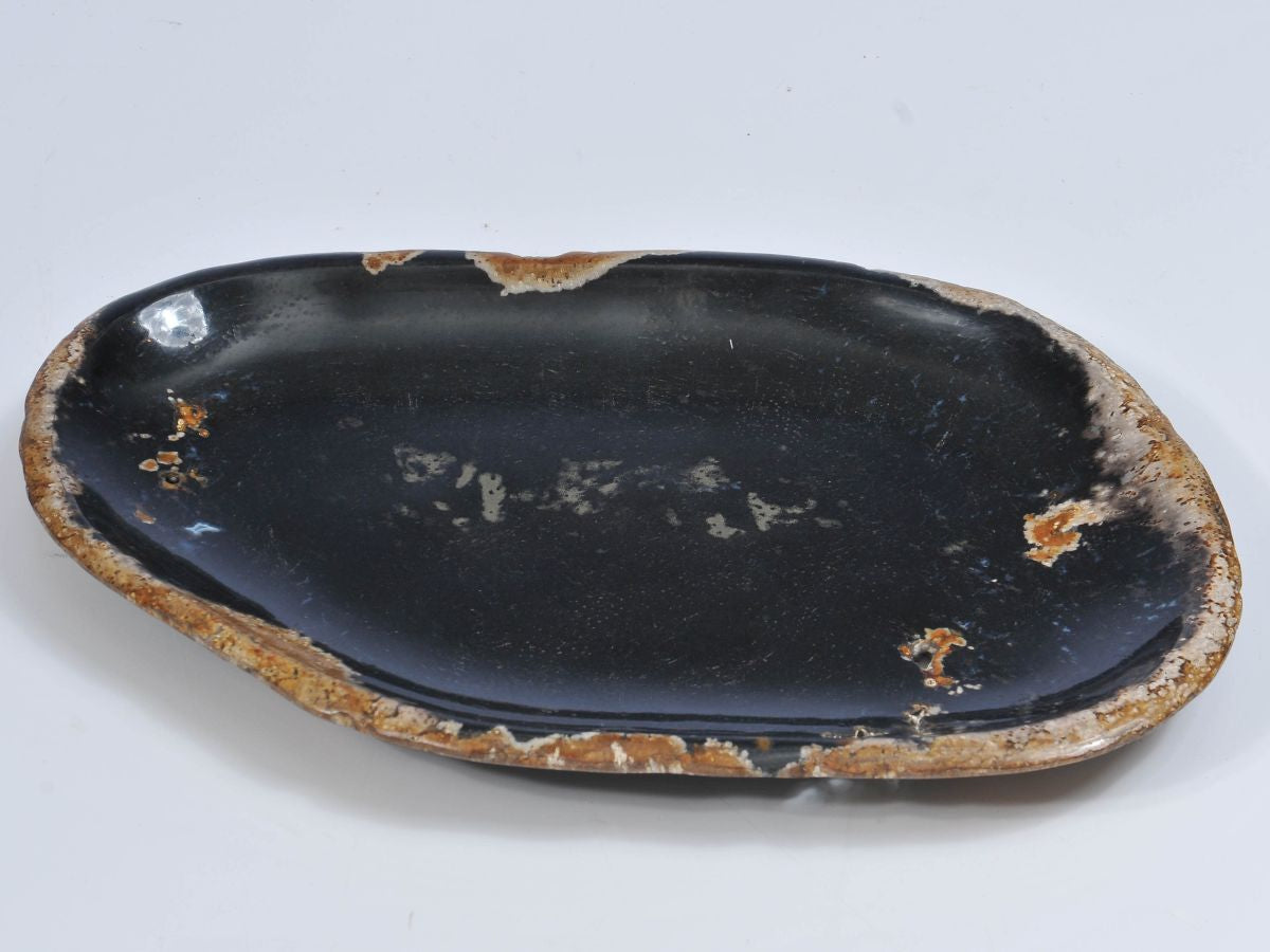 Piatto in legno fossile - 37023