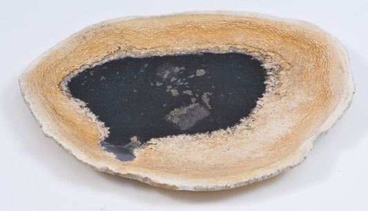 Piatto in legno fossile - 37034e
