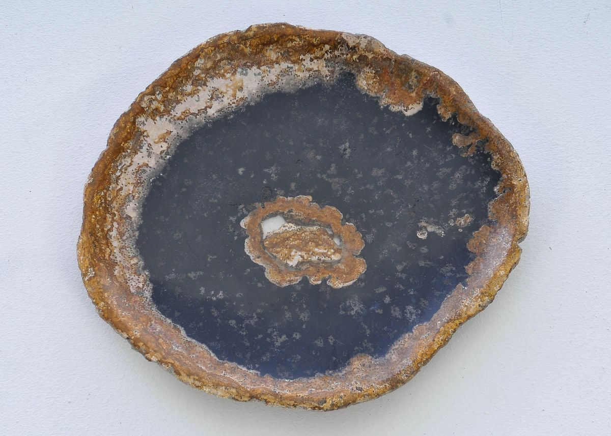 Piatto in legno fossile - 38006i