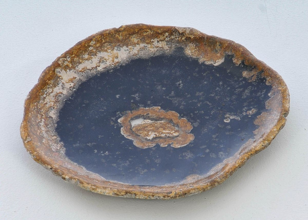Piatto in legno fossile - 38006i