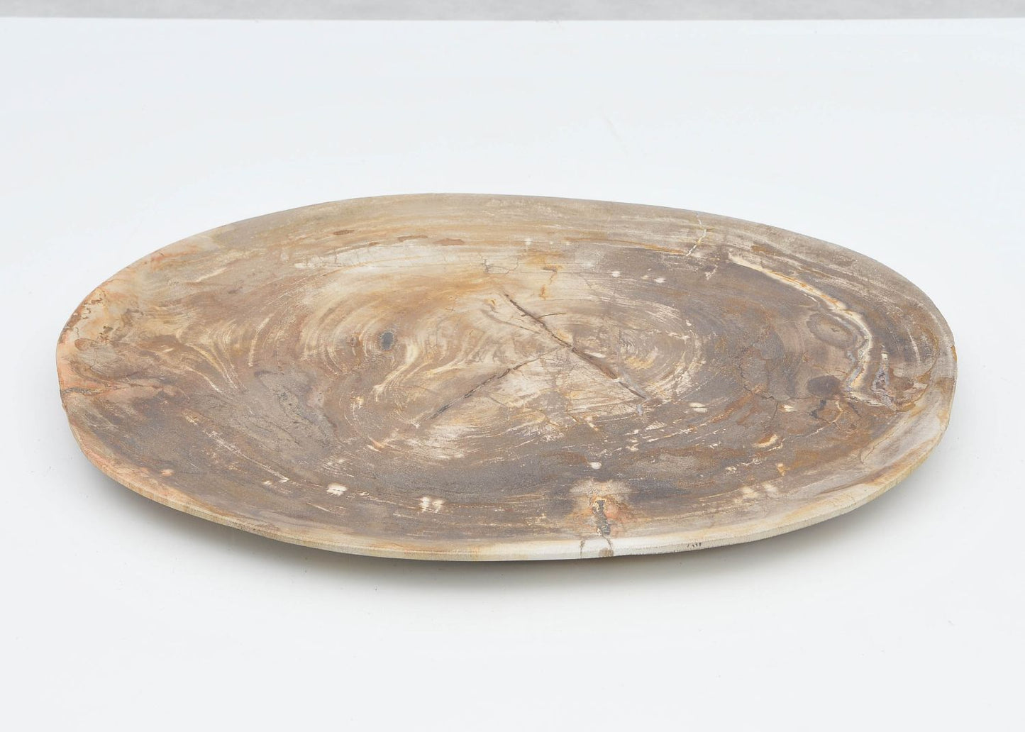 Piatto in legno fossile - 40039e