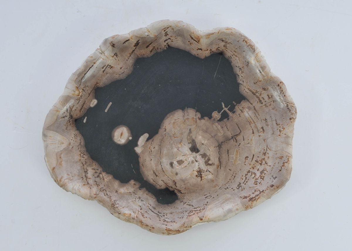Piatto in legno fossile - 41176