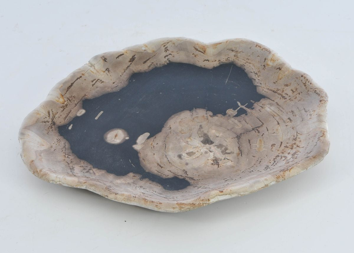 Piatto in legno fossile - 41176