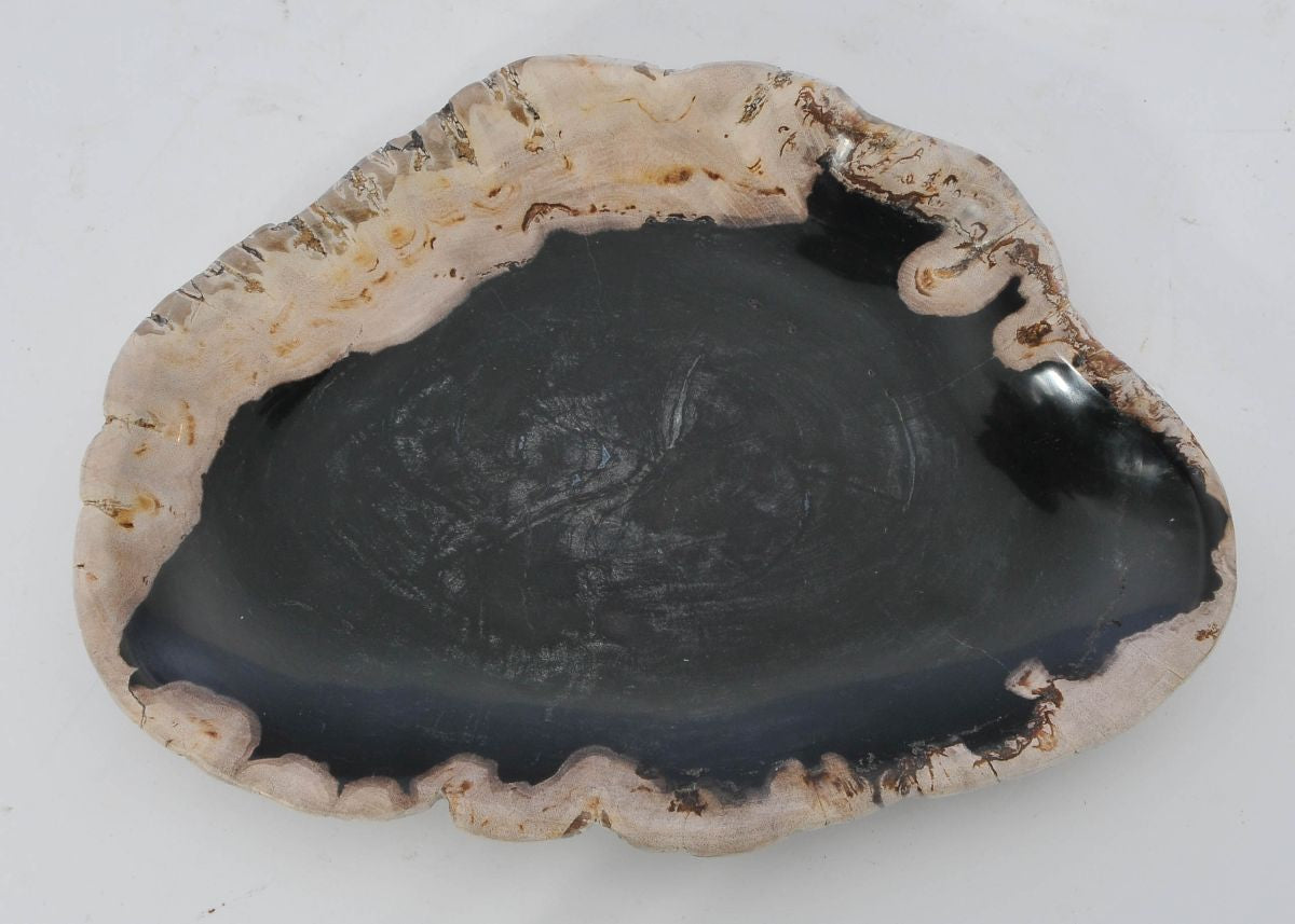 Piatto in legno fossile - 42070g