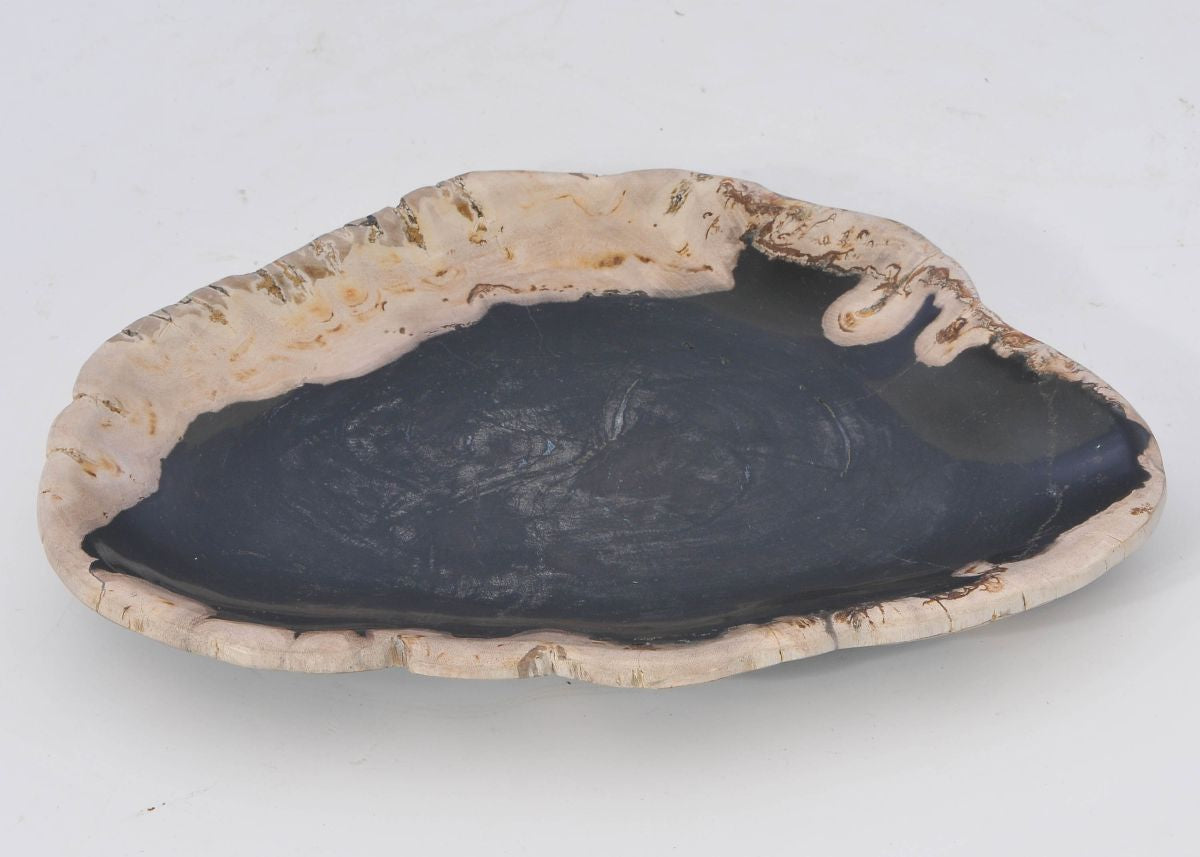 Piatto in legno fossile - 42070g