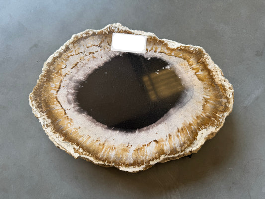 Lastra per tavolino in legno fossile - 42300C