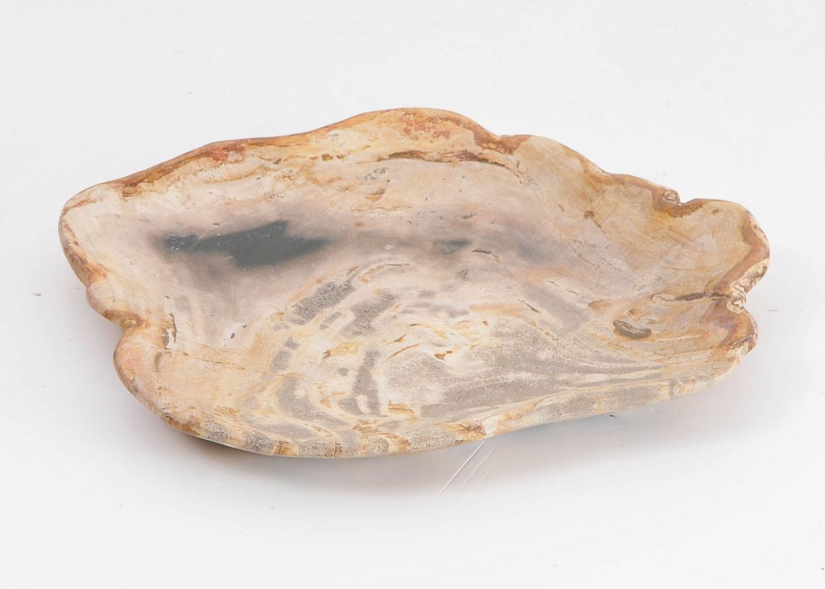 Piatto in legno fossile - 43068h