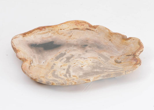 Piatto in legno fossile - 43068h