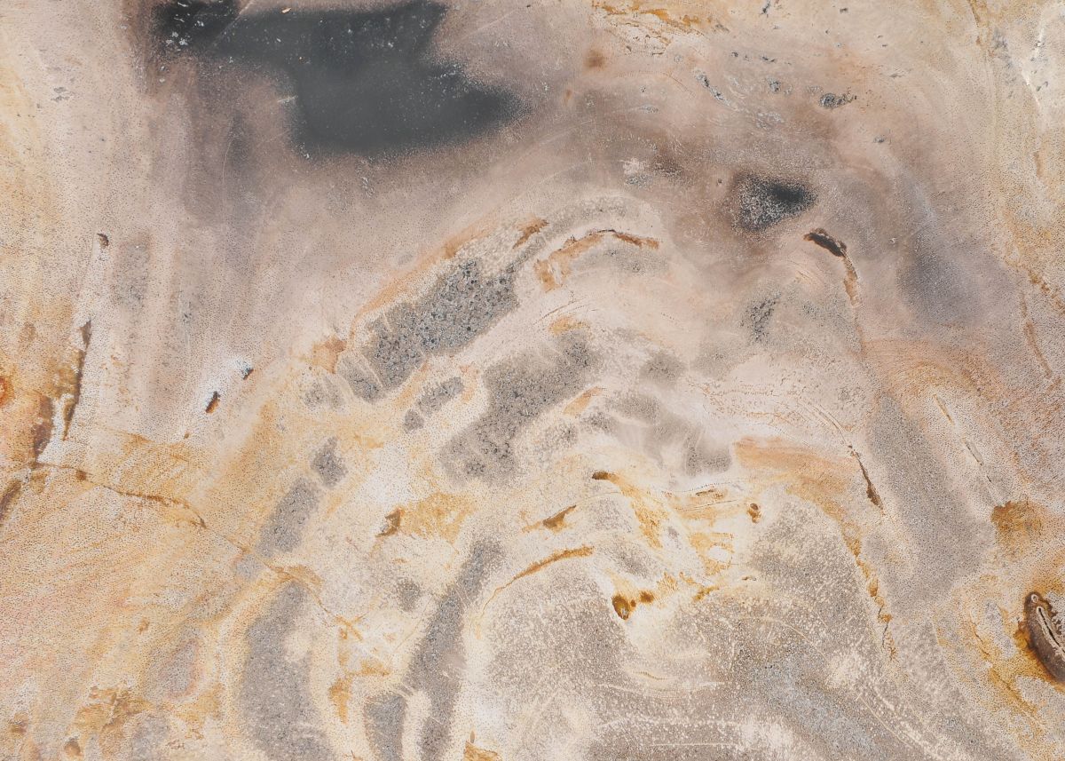 Piatto in legno fossile - 43068h