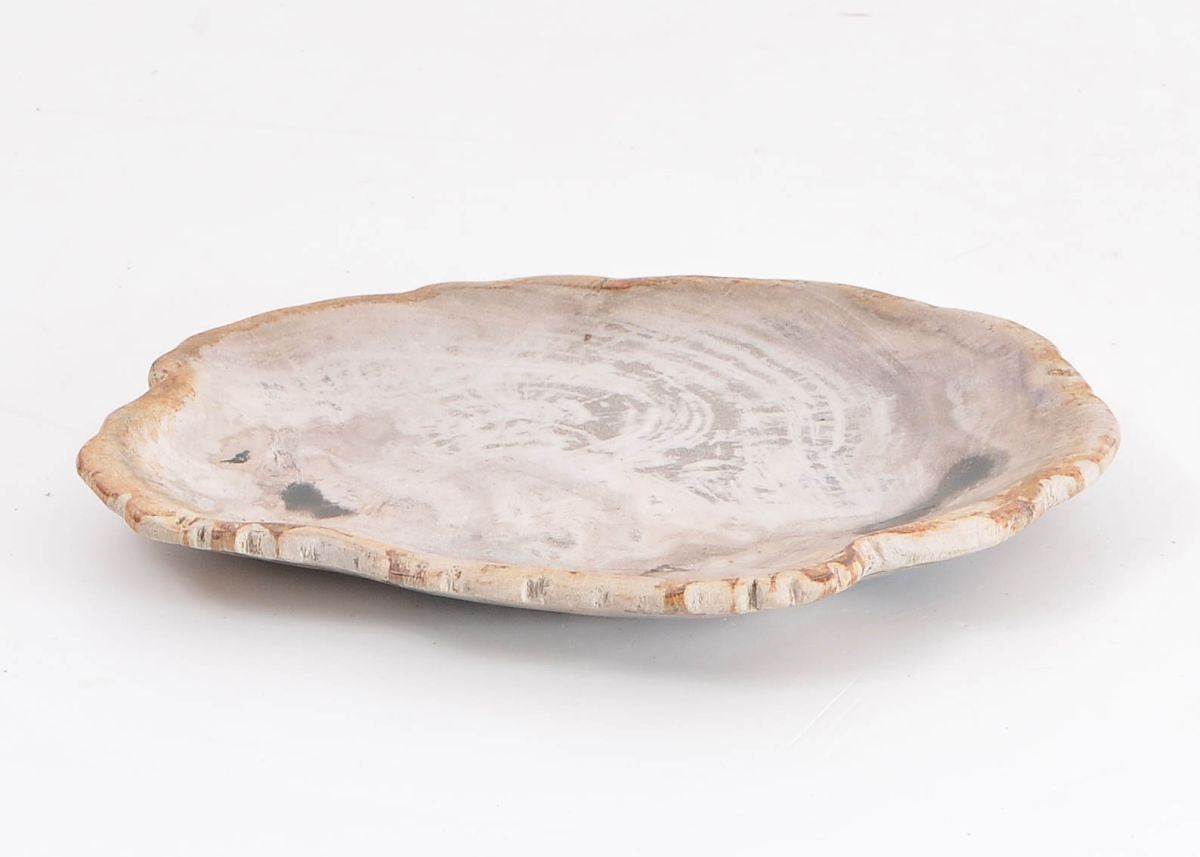 Piatto in legno fossile - 43076d