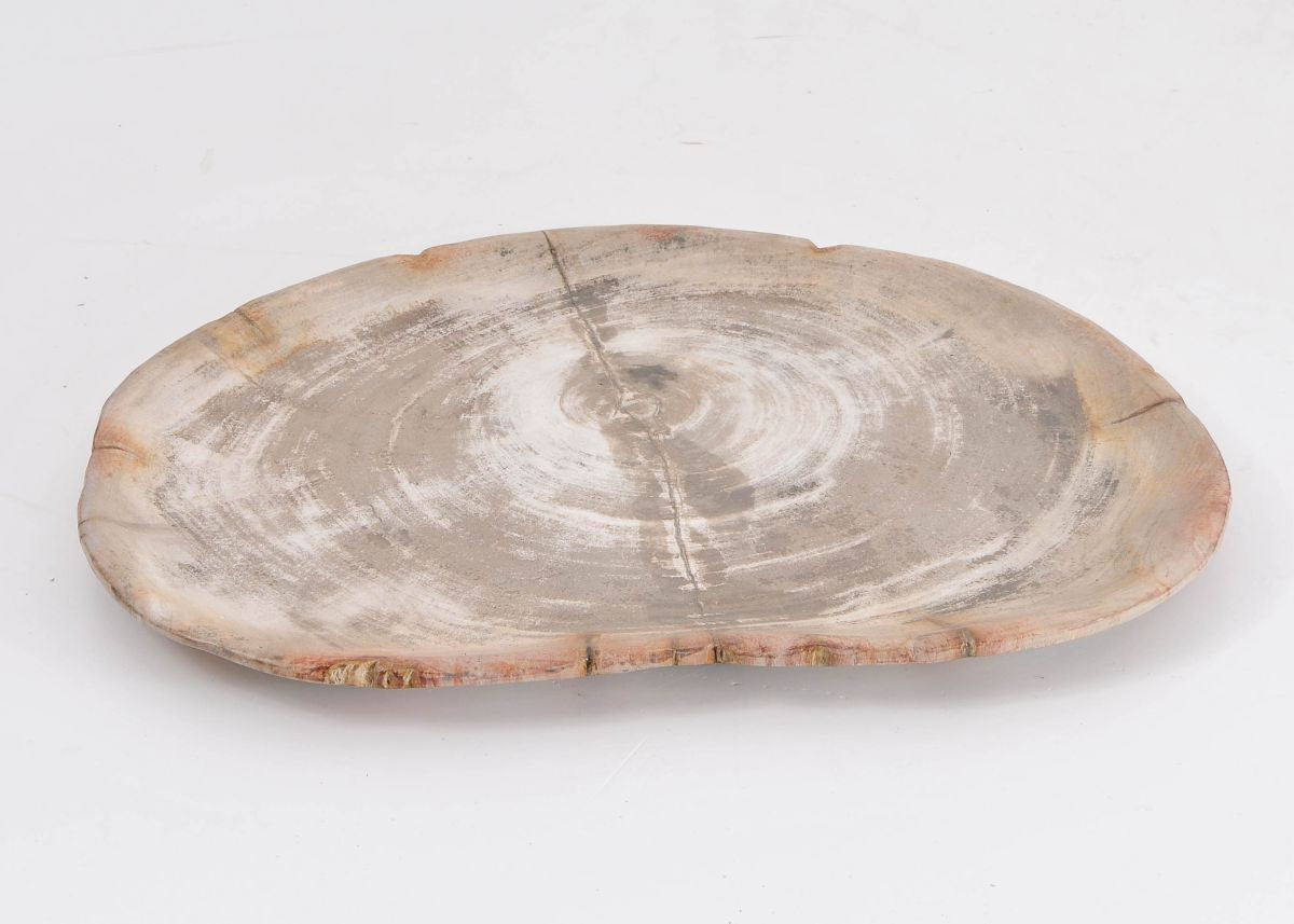 Piatto in legno fossile - 43077b