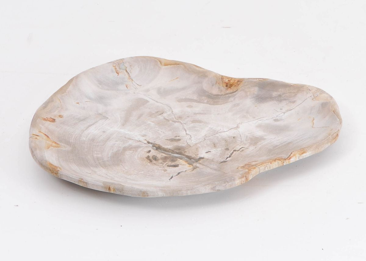 Piatto in legno fossile - 43125i