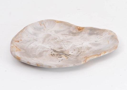 Piatto in legno fossile - 43125i