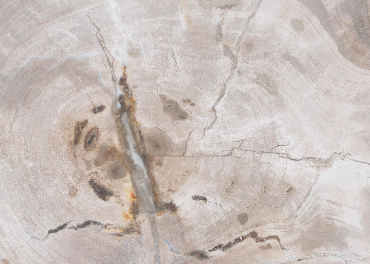 Piatto in legno fossile - 43125i