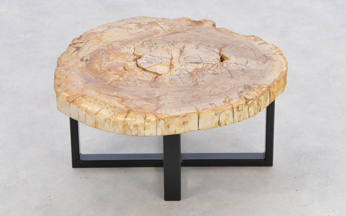 Lastra per tavolino in legno fossile - 43244