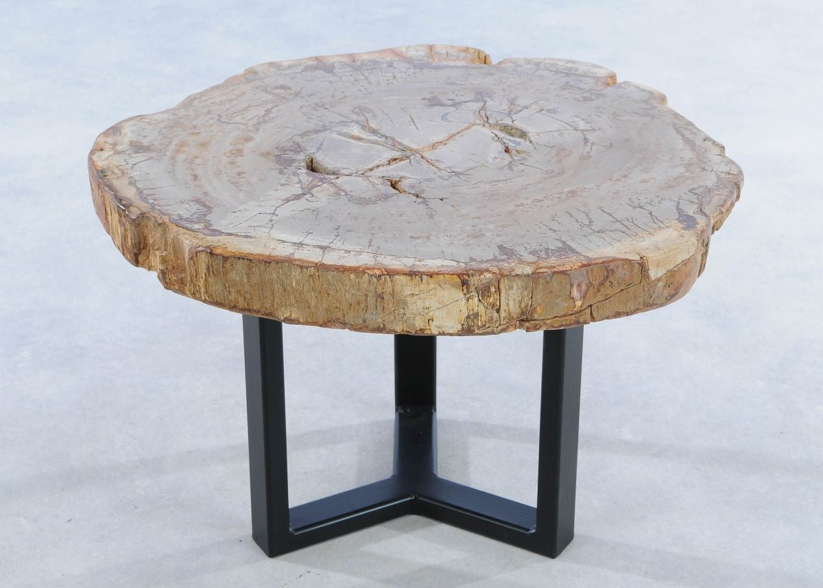 Lastra per tavolino in legno fossile - 44135