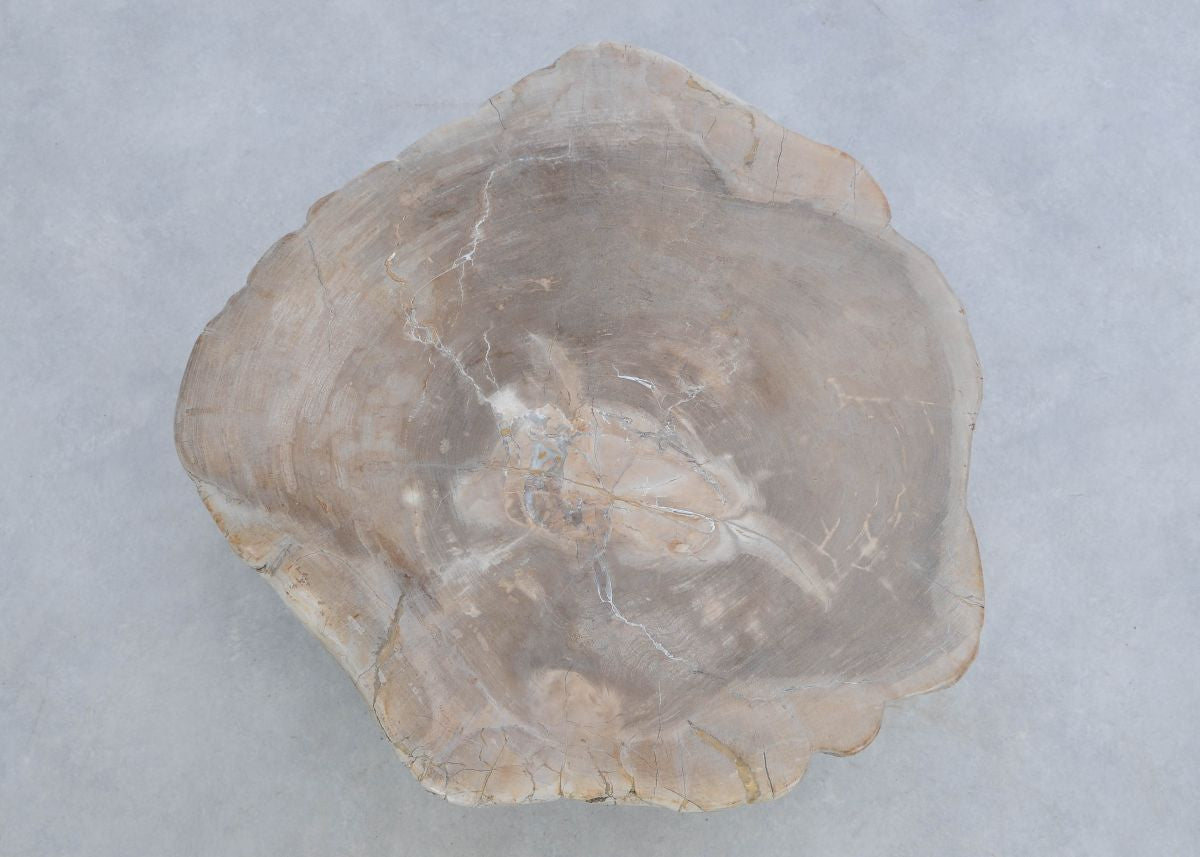 Lastra per tavolino in legno fossile - 45166