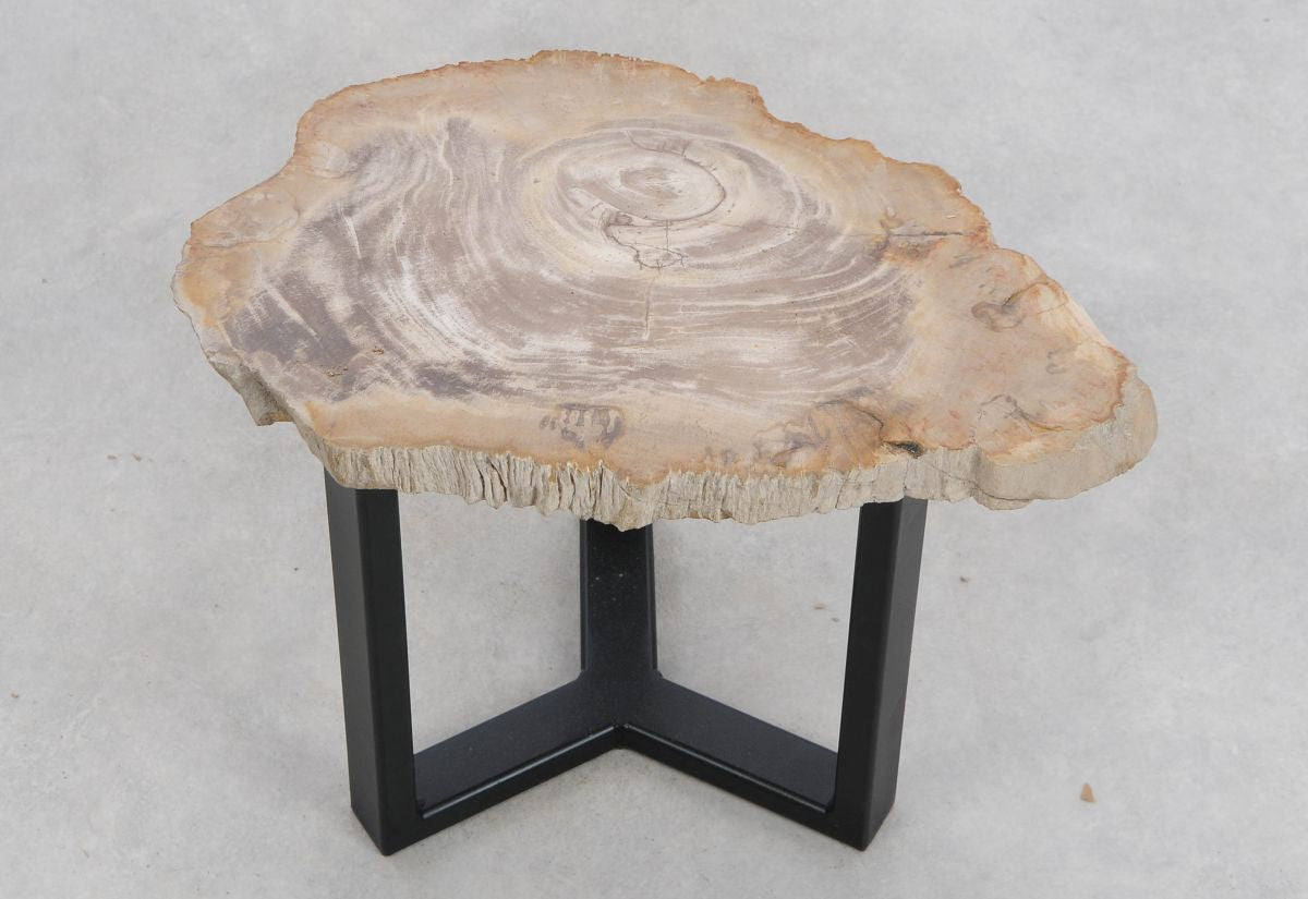 Lastra per tavolino in legno fossile - 48249