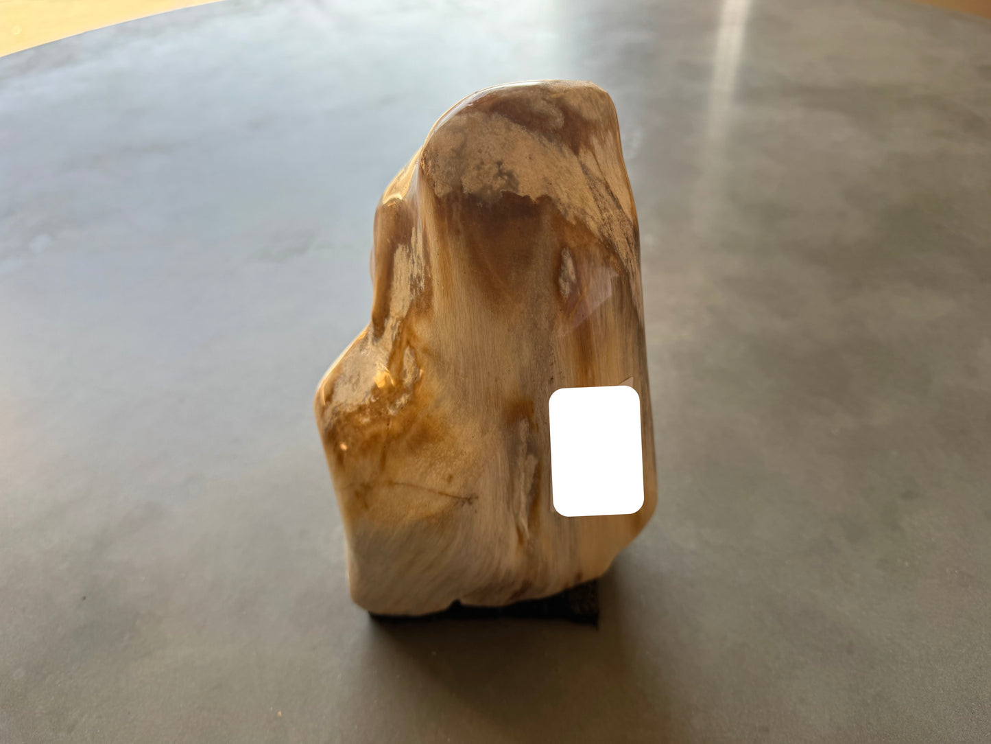 Scultura in legno fossile - 50007A-2