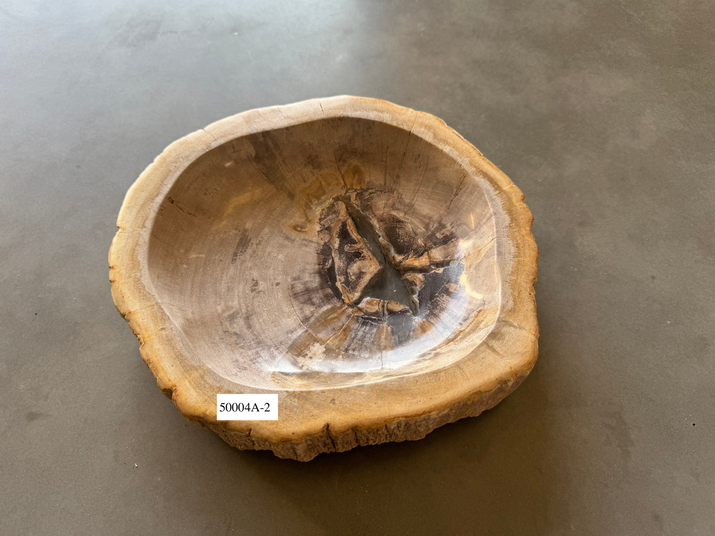 Piatto in legno fossile - 50004A-2