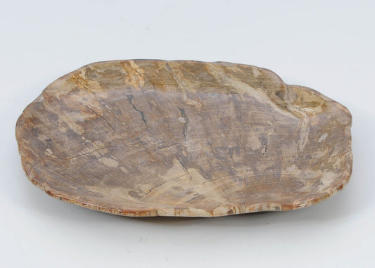 Ciotola in legno pietrificato - 51105