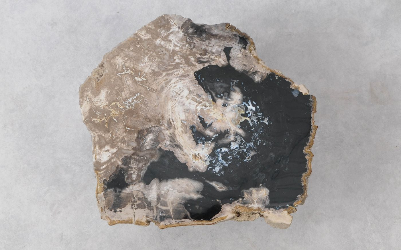 Lastra per tavolino in legno fossile - 51293